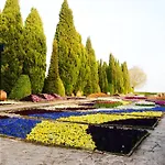 “централ” / *